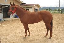 �������� (NAMDO GONGJU) ����