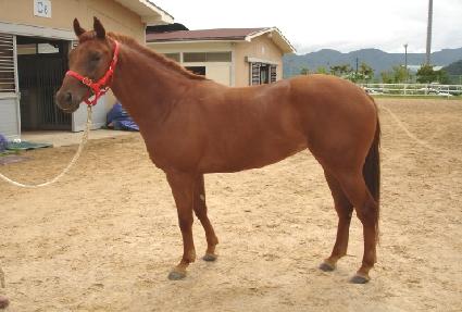 �������� ����