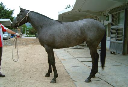 �����۾� ����