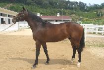 Ʈ���þǼ� (TRIPLE AXEL) ����