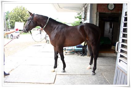 ���ο���� ����