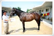 �ι��׸� (INVIGREEN) ����