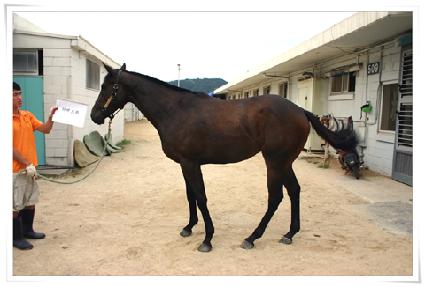 ����Ʈ�� ����