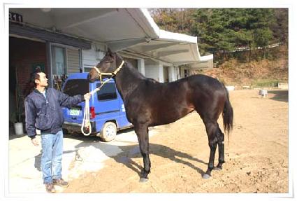 �׸�ĳġ ����