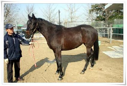 Ʈ���ü����� ����