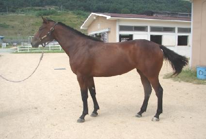 �̽�Ÿ�� ����