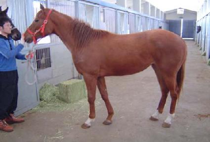 Ȳ�� ����