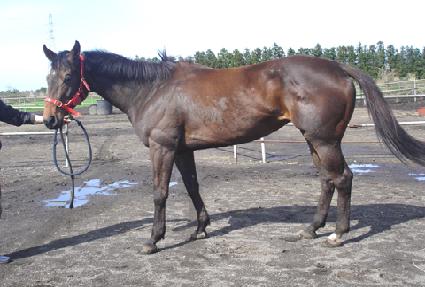 �����깮���� ����