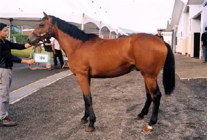 ���� ����