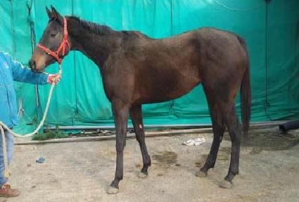 ����Ѷ� ����