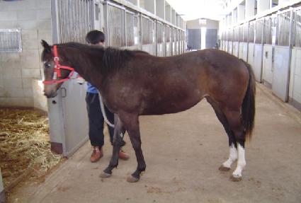 ���� ����