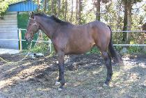 ���õ�� (BAENGNOK CHEONSA) ����