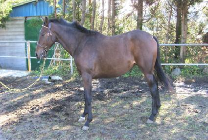 ���õ�� ����