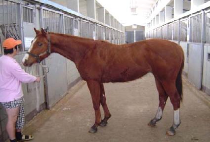 ����ī�� ����