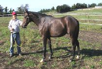 ��ϱ�� (BAENGNOKGIUN) ����