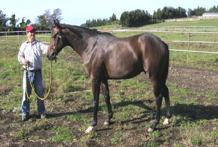 ��ϱ�� ����