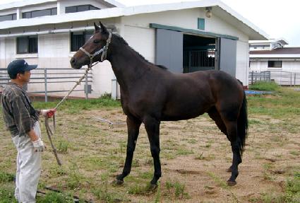 �ƹ漼 ����