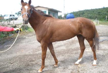 ������̵� ����