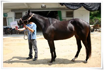 �������� ����