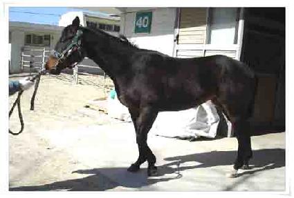 ���ۻ��� ����