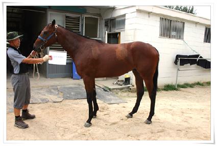 ����Ƽ��ĸƾ ����