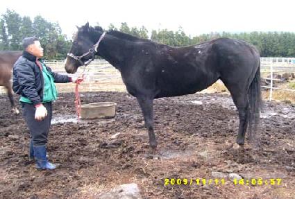 ��ǰ���� ����