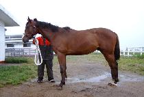 �ִϿ� (ANY ONE) ����