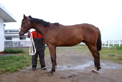 �ִϿ� ����