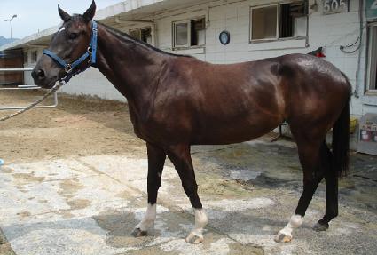 ��������� ����