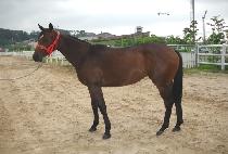 ���¸�� (UNNEUN MOSEUP) ����