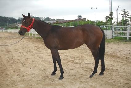 ���¸�� ����