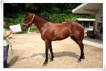 ���õ�� (HAENG UN CHEON SA) ����