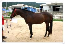 ��� (YONGGEOL) ����