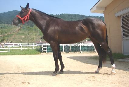 ���������� ����