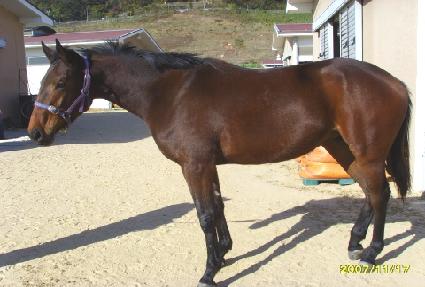 ���Ư�� ����