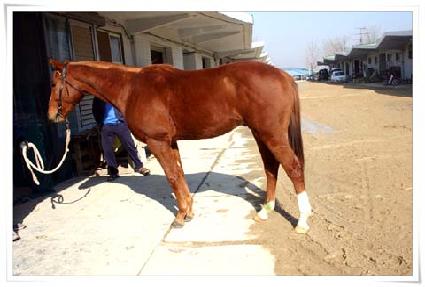 ��ȣ���� ����