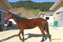 �ұ� (SO GOOD) ����