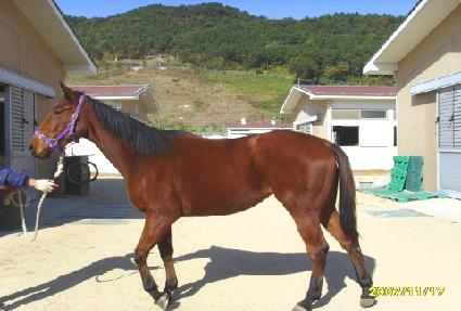 �ұ� ����