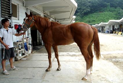 ���ֹ��� ����