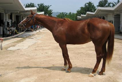 �ݵ��ǲ� ����