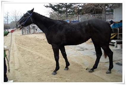 �Ź� ����