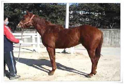 ���Ĺ ����