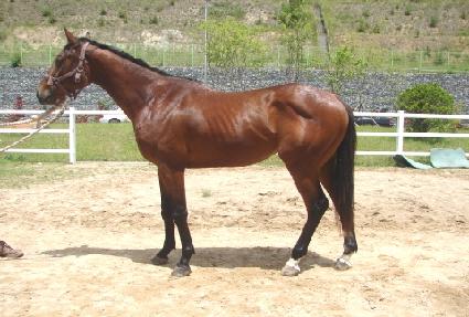 ��������ǳ�� ����