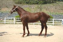 û���Ǳ�� (CHEONGNYENUIGISANG) ����