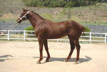 û���Ǳ�� ����