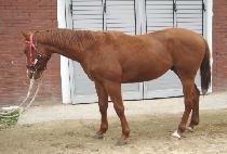 �Ժ� (NIMBLE) ����