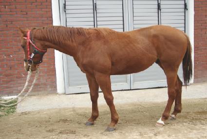 �Ժ� ����