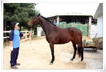 ���� (SONG I) ����