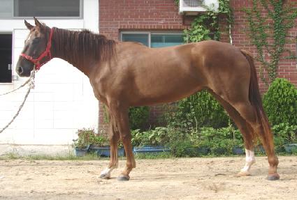 ȯ���ǲ� ����