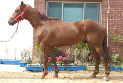 ���̽����� ����